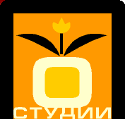 О студии веб-дизайна Зина дизайн